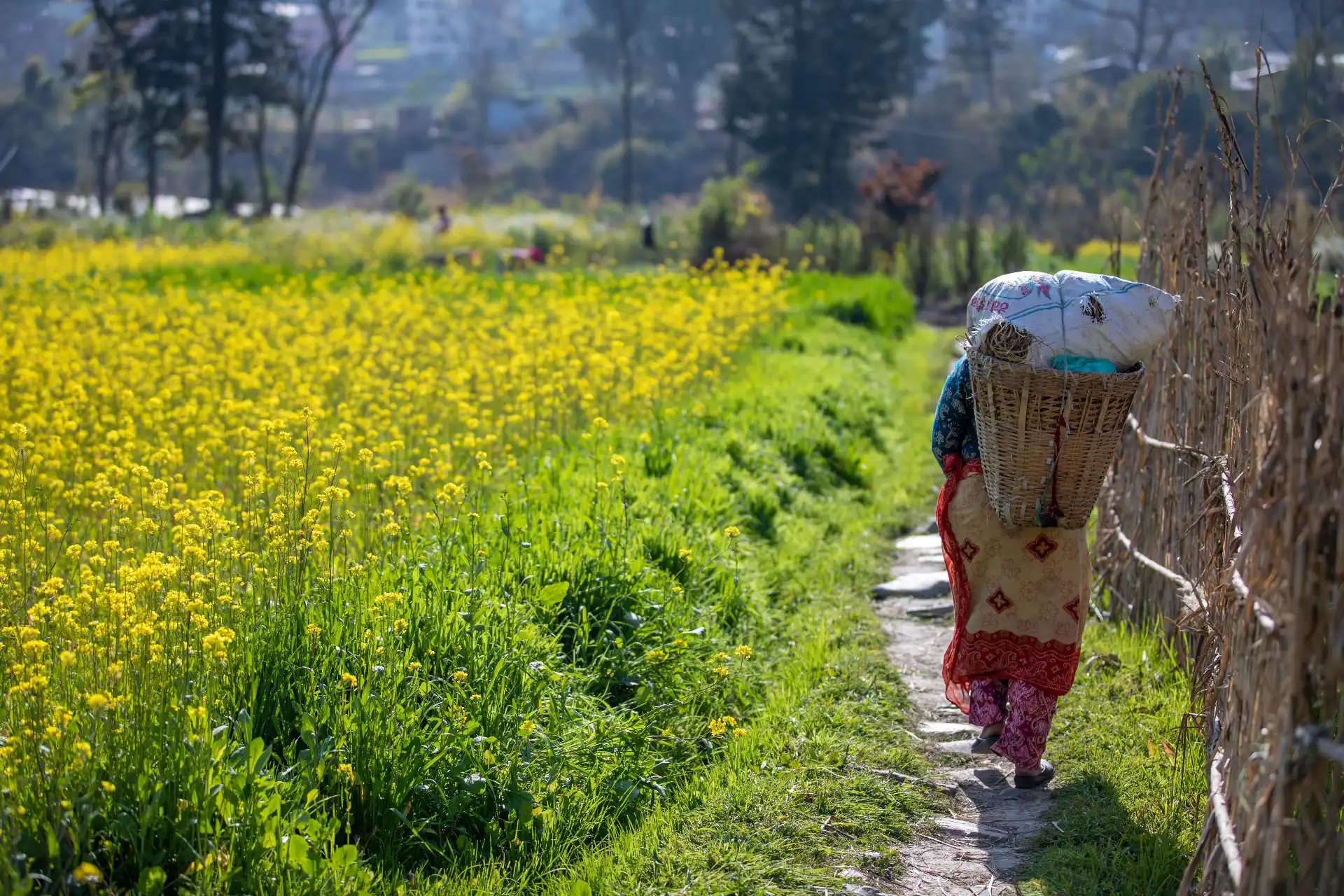 Our Mission accent image